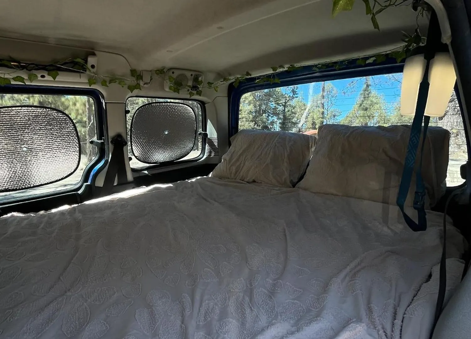 Campsite Campervans El Medano