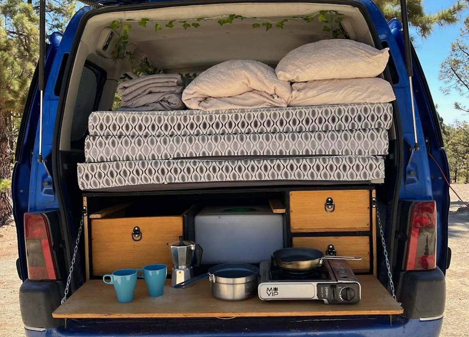 Campervans El Medano  Campsite